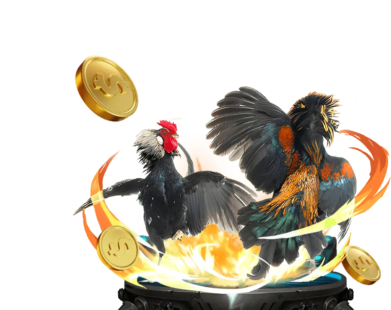 Đá gà Thomo tốc độ cao